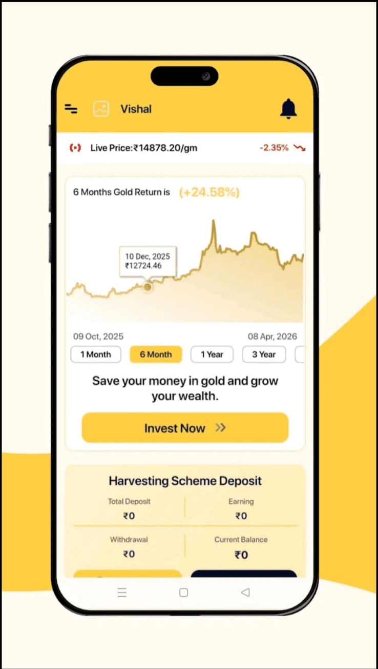 Digital vault ledger asset allocation screens inside the secure mobile application